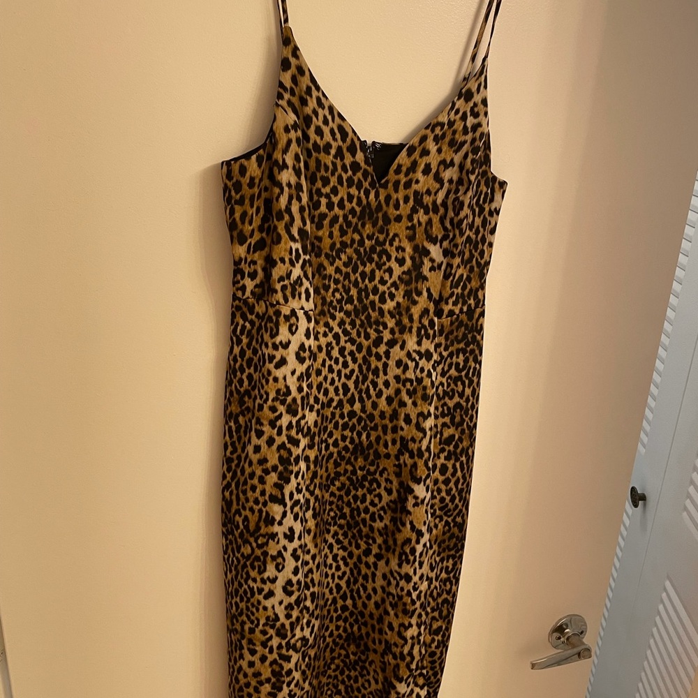 Animal Print Express midi dress